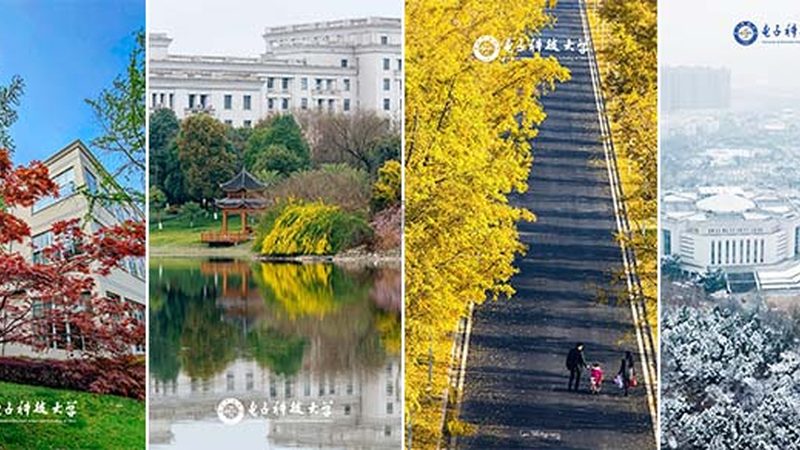 揭秘电子代工代料：价格合理背后的考量因素