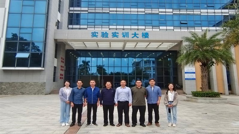 芯片定制开发周期：揭秘影响与优化策略